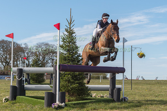 JENNIFER STEAD RIDING DSH LUCKEY TOWN