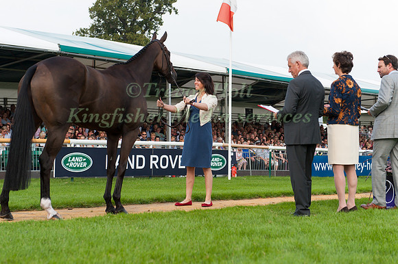 Meghan Odonoghue (USA) and Pirate at the 1st horse inspection