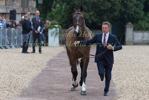 Padraig Mccarthy (IRL) and  Mr Chunky