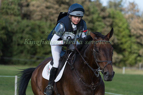 LOUISE HARWOOD AND TREVILLICK
