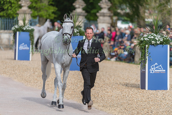 Oliver Townend (GBR) and Swallow Springs