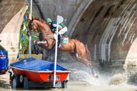 Austin O'Connor (IRL) and  Morning Venture