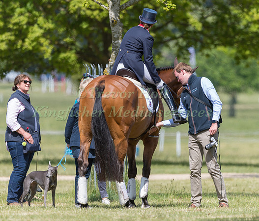 PIGGY FRENCH (GBR) AND COOLEY MONSOON