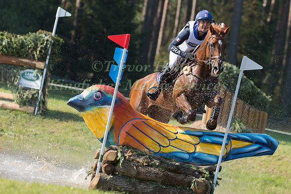 Karim Florent Laghouag (FRA) and Punch de l'Esques