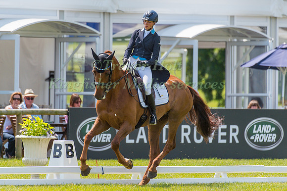 Louise Svensson Jahde (SWE) riding Wieloch'S Utah Sun