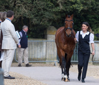 Bubby Upton (GBR) and Cola