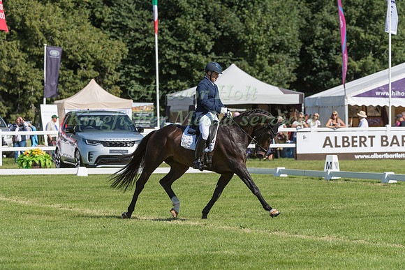 SCOTT MCLELLAN  AND DAIMLER II