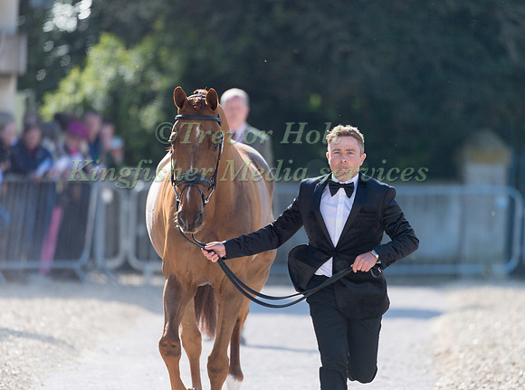 Ben Hobday (GBR) and Shadow Man