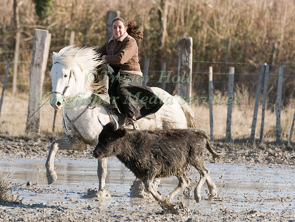 A Female Guardian take part in the Handling Competition riding Side Saddle