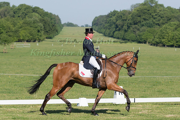 OLIVER TOWNEND (GBR) RIDING COOLEY SRS  IN THE DRESSAGE PHASE OF THE CICO THREE STAR AT THE 2017 HOUGHTON INTERNATIONAL HORSE TRIALS