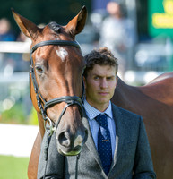 Tom D Crisp (GBR) riding Coolys Luxury taking part in the Show Jumping Phase