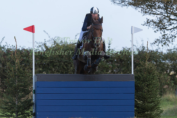 HOLLIE SWAIN AND SOLO XII