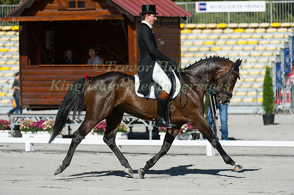 Umberto Riva and Phoenix D'Amigny
