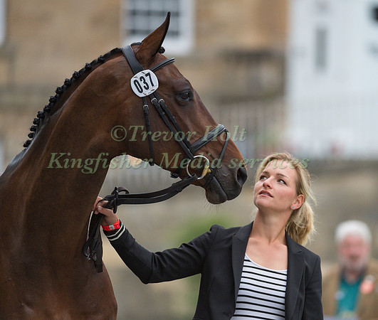 JULIA  KRAJEWSKI (GER) AND CHIPMUNK FRH