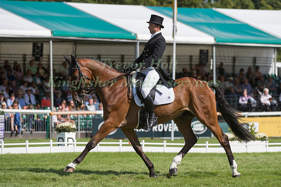 Harry Dzenis (GBR) and Dromgurrihy Blue