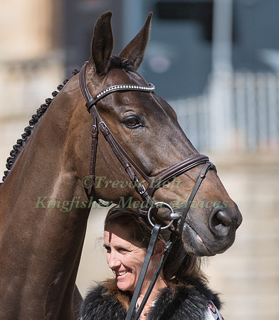 CAROLINE  POWELL (NZL) AND ON THE BRASH AT THE EQUI-TREK CCI *** FINAL HORSE INSPECTION OF THE 2017 BRAMHAM INTERNATIONAL HORSE TRIALS