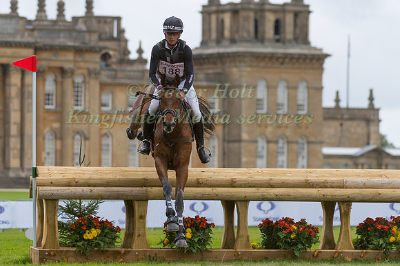 ANDREW NICHOLSON (NZL) RIDING BYRNESGROVE FIRST DIAMOND