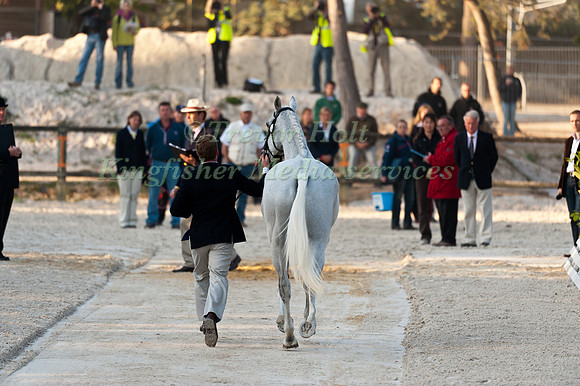 Oliver Townend and Flint Curtis