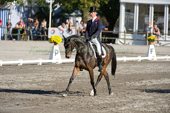 William Fox-Pitt and Lionheart