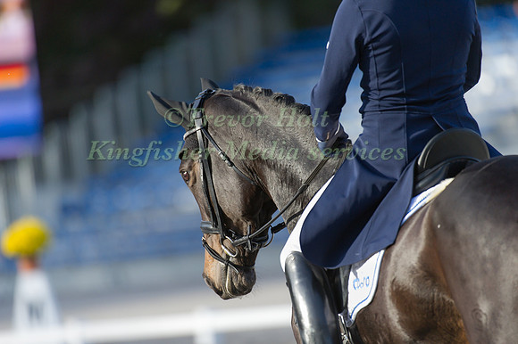 Michael Jung and Fischerrocana FST