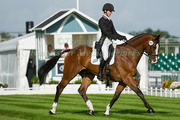 PAUL SIMS (GBR) RIDING GLENGARNOCK