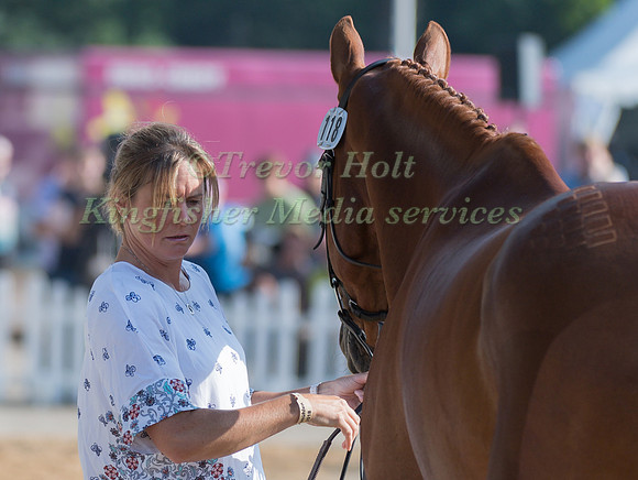 PIGGY FRENCH (GBR) AND QUARRYCREST ECHO