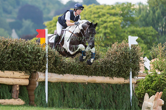 Paul Sims (GBR) riding Pebbly Wizard