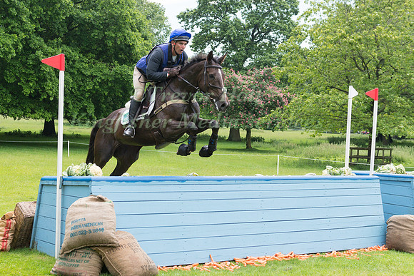 ANDREW JAMES (GBR) RIDING LADY IN RED V  IN THE CROSS COUNTRY PHASE OF THE CCI ONE STAR AT THE 2017 HOUGHTON INTERNATIONAL HORSE TRIALS