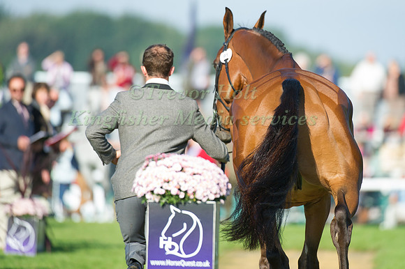 Harry Dzenis (GBR) riding Xam taking part in the Show Jumping Phase