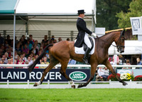 Gordon Murphy (GBR) riding Imperial competing in the dressage test