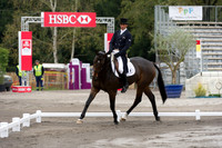 Andrew Nicholson and  Viscount George
