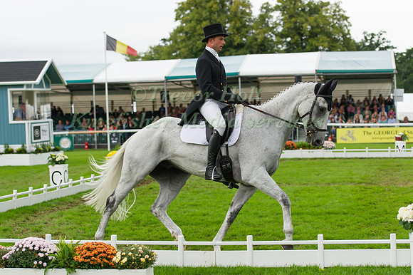 HARRY DZENIS (GBR) RIDING XAM