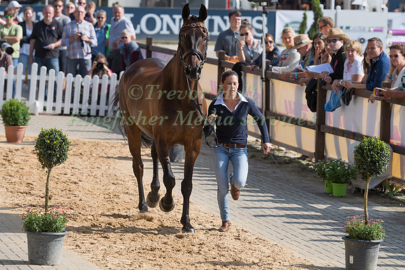 JOSEFA SOMMER (GER) AND HAMILTON