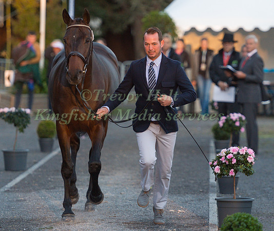 Laurence HUNT  (GBR) AND WIE DONNA'S NIIEUWMOED