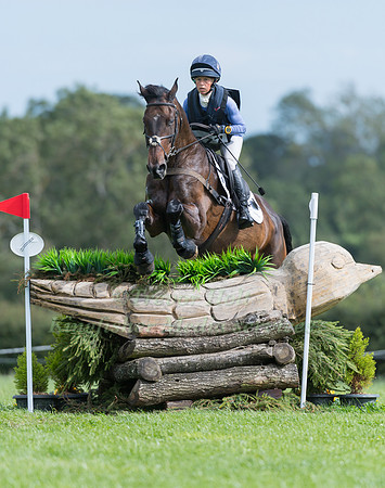 ROSALIND CANTER RIDING  ALLSTAR B