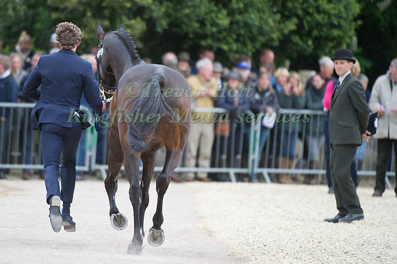 Ludwig Svennerstal and King Bob
