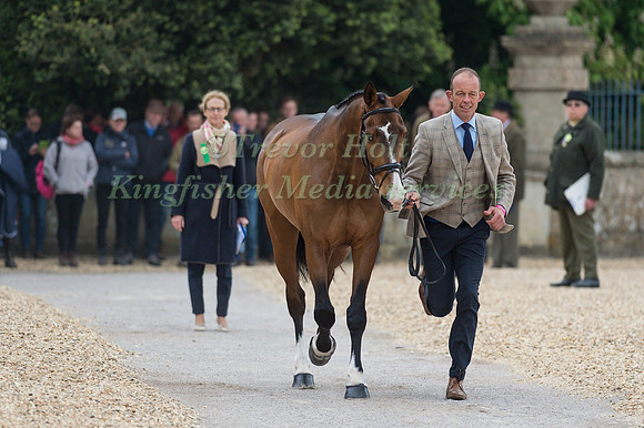 Jonty Evans (IRL) and Cooley Rorkes Drift at the Final  Horse Inspection of the 2017 Mitsubishi Motors Badminton Horse Trials