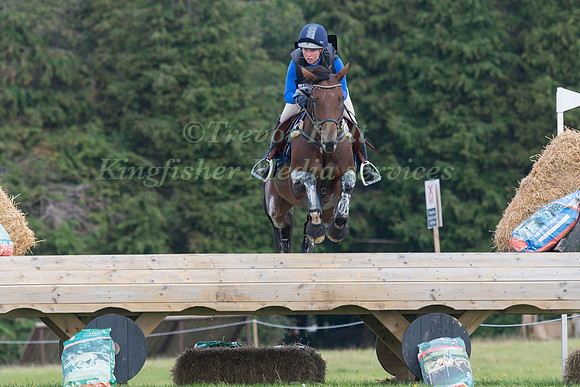 THERESE VIKLUND AND VISCERA
