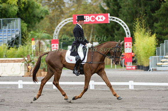 Mark Todd and Major Milestone