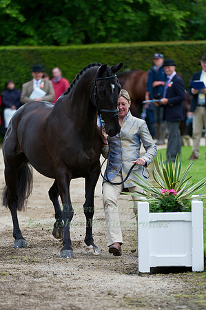 Nicola wilson and Opposition Buzz dodge the Flower Butt at the Cic Trot Up