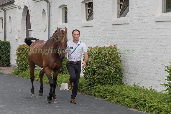 JOSEPH MURPHY (IRL) AND SPORTSFIELD OTHELLO