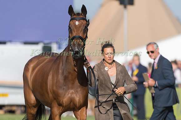SARAH BULLIMORE (GBR) AND REVE DU ROUET