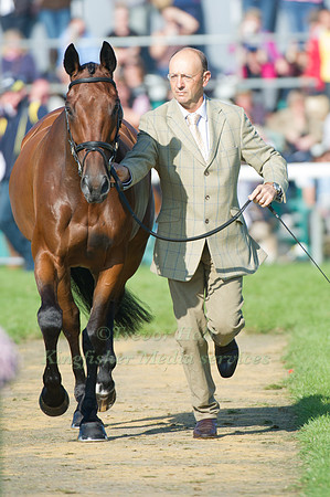 Andrew Nicholson (NZL) riding Avebury taking part in the Show Jumping Phase