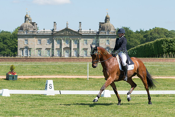 JESSICA MCKIE (GBR) RIDING ASK THE BOSS IN THE DRESSAGE PHASE OF THE CICO THREE STAR AT THE 2017 HOUGHTON INTERNATIONAL HORSE TRIALS