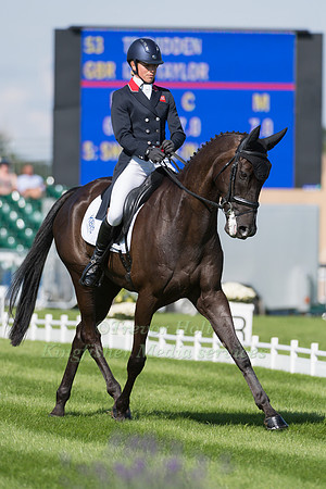 Izzy Taylor (GBR) and Trevidden
