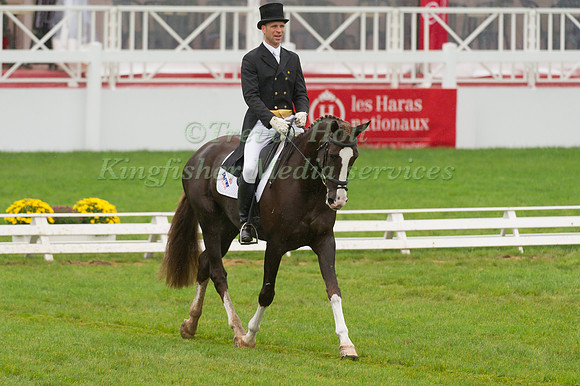 Nick Gauntlett and The Court Jester