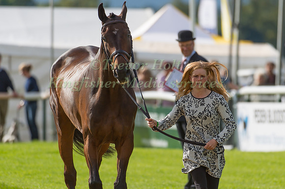 Rosalind Canter (GBR) and  Allstar B
