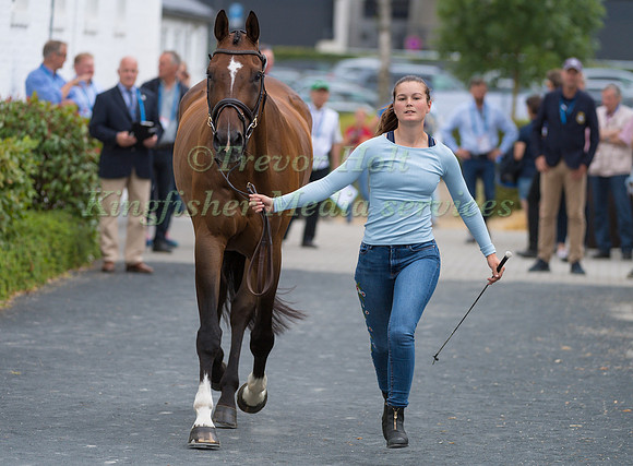 MALIN JOSEFSSON (SWE) AND GOLDEN MIDNIGHT
