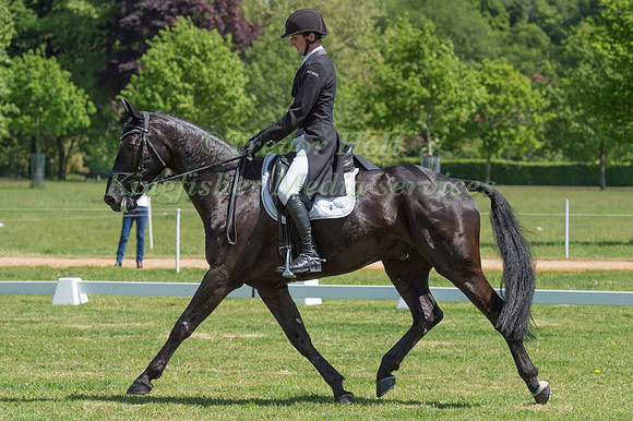 PAUL SIMS (GBR) RIDING CONTIKI TOO TAKING PART IN THE CROSS COUNTRY PHASE OF THE CICO THREE STAR AT THE 2017 HOUGHTON INTERNATIONAL HORSE TRIALS