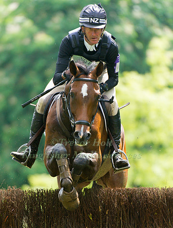 Mark Todd NZB Campino